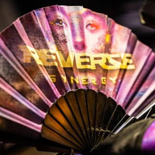 Reverze - Synergy by EDMkevin