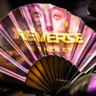 Reverze - Synergy by EDMkevin