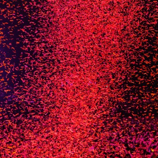 Reverze 2025 | Friday 14 February | Part I